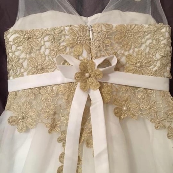 BNWOT Stunning Toddler Girl Dress - Picture 3 of 4